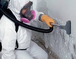 Best Mold Removal for HVAC Installations  in Honesdale, PA